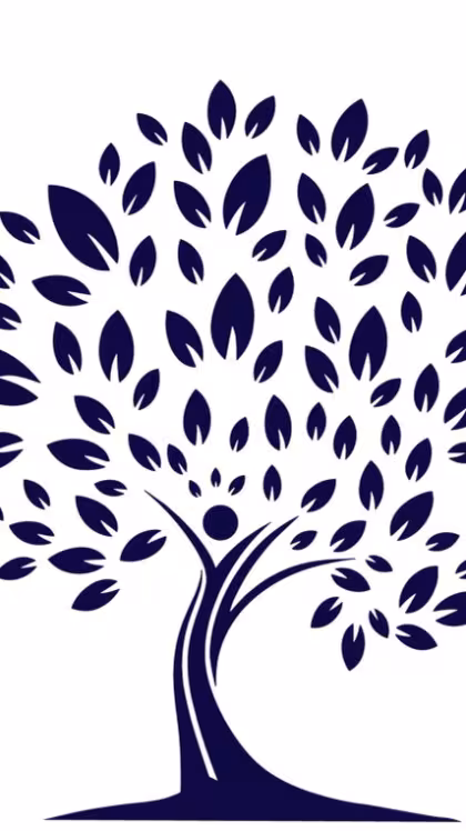  Mindful Beginnings